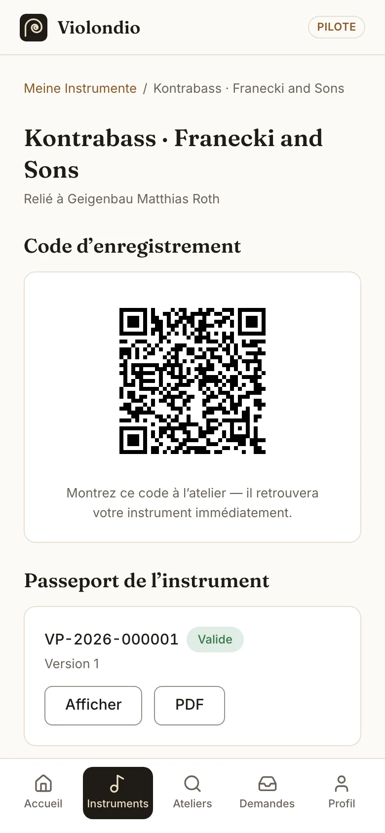 Page d’un instrument avec code d’enregistrement et passeport.